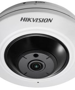 Camera Hikvision DS-2CD2955FWD-I Hải Phòng