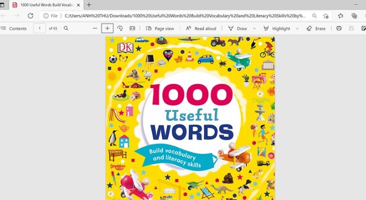 Người dùng có thể sử dụng các trình duyệt Chrome, Firefox, Cốc cốc để đọc file PDF