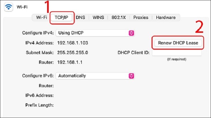 Bạn tiếp tục chọn mục tab TCP/IP và chọn Renew DHCP Lease để thay đổi IP Bạn tiếp tục chọn mục tab TCP/IP và chọn Renew DHCP Lease để thay đổi IP