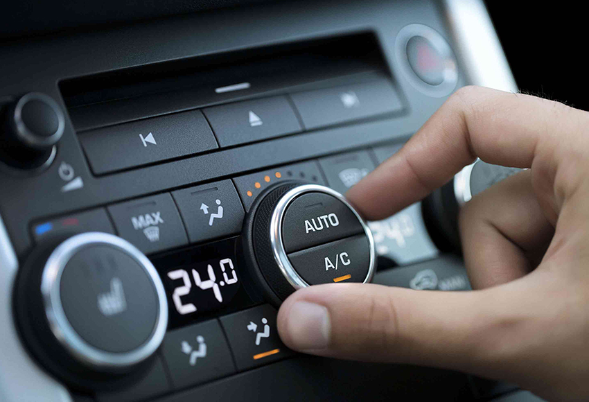 Cách điều khiển hoa trên điện thoại