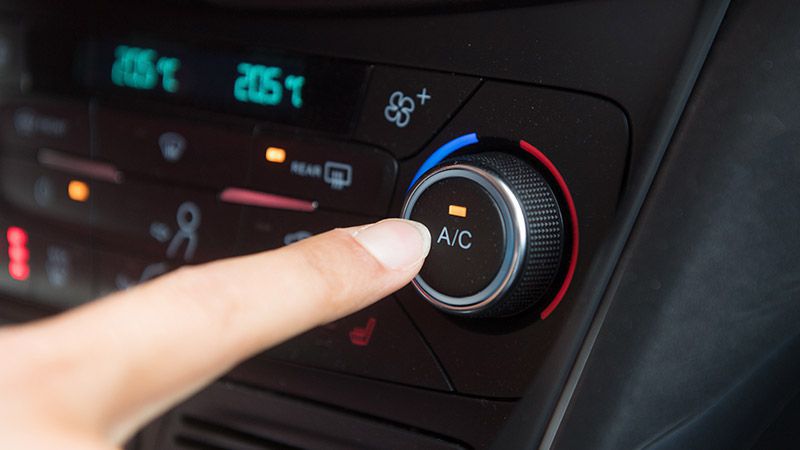 Cách điều khiển hoa trên điện thoại