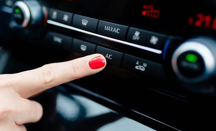 Cách điều khiển hoa trên điện thoại
