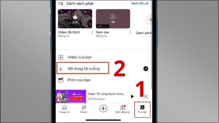 Vào Thư viện và chọn Tải xuống