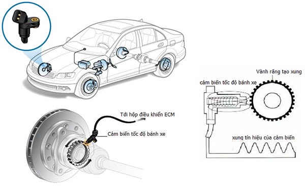 Cải tiến ABS cam biên