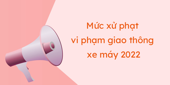 Đạo luật vi phạm giao thông