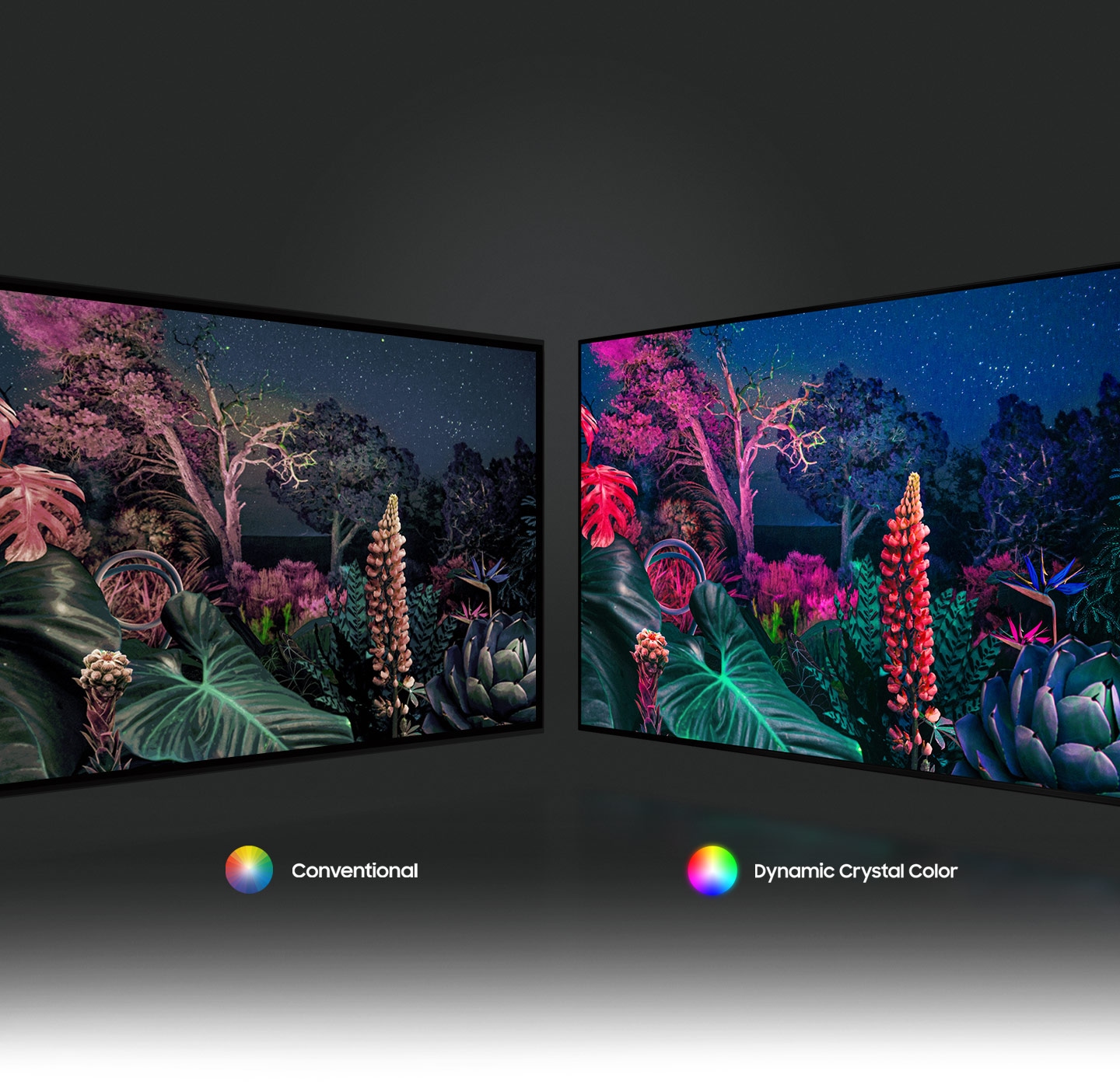 Nhờ công nghệ Dynamic Crystal Color, hình ảnh khu rừng bên phải hiển thị hình ảnh màu sắc phức tạp hơn so với công nghệ truyền thống bên trái.