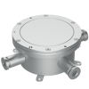 DS-2781ZJ-X(OS)(O-STD)/316L