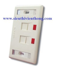 Mặt nạ 2-port Faceplate COMMSCOPE (272368-2)