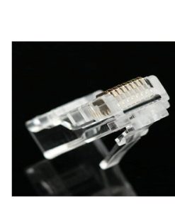 Hạt mạng xuyên thấu CAT6